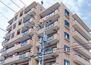 セントレー仏子